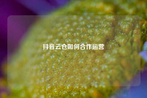 抖音云仓如何合作运营