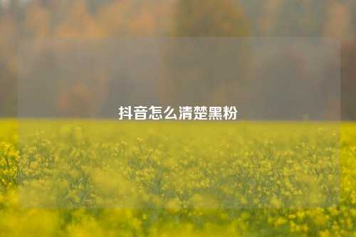 抖音怎么清楚黑粉