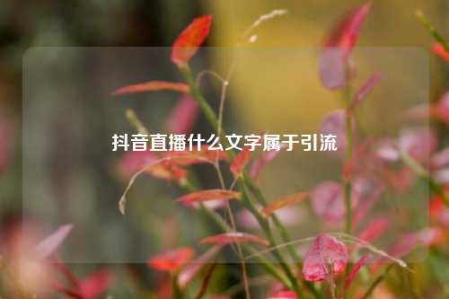 抖音直播什么文字属于引流