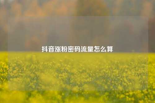 抖音涨粉密码流量怎么算