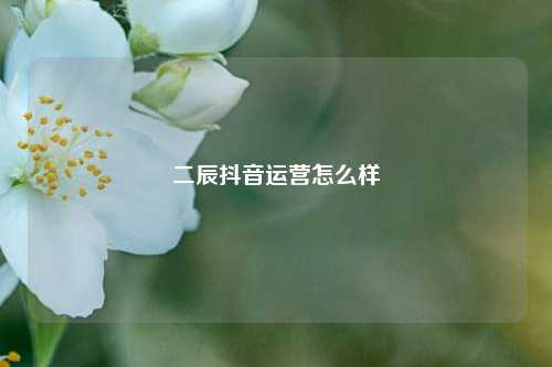 二辰抖音运营怎么样