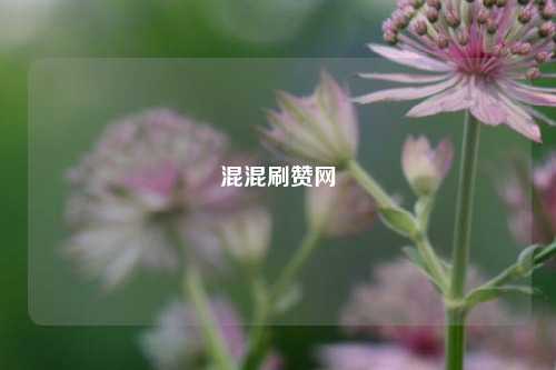 混混刷赞网