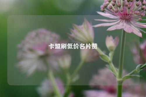 卡盟刷低价名片赞