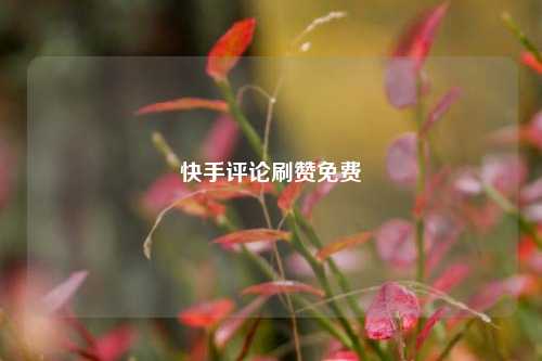 快手评论刷赞免费