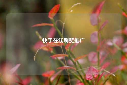 快手在线刷赞推广