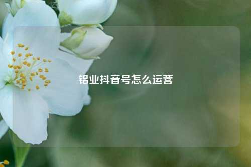 铝业抖音号怎么运营