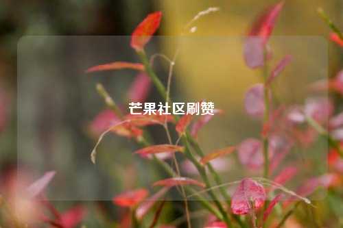 芒果社区刷赞