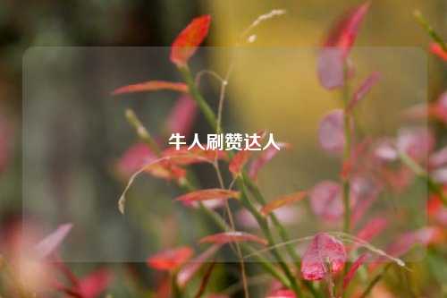 牛人刷赞达人