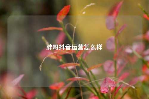 胖哥抖音运营怎么样
