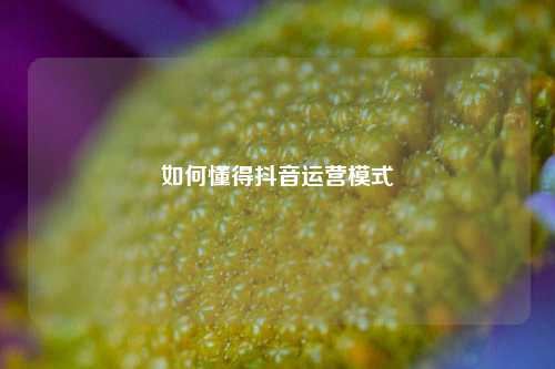 如何懂得抖音运营模式
